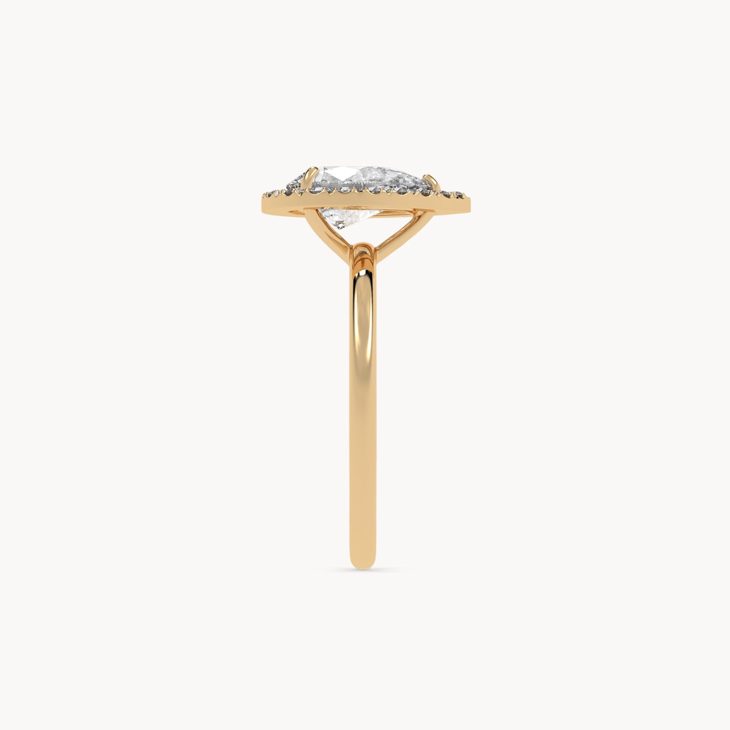 Riley Engagement Eing