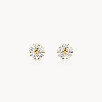 Lily Studs