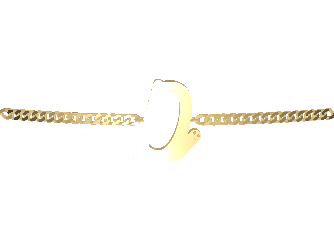 Arm- und Fußkette Signature